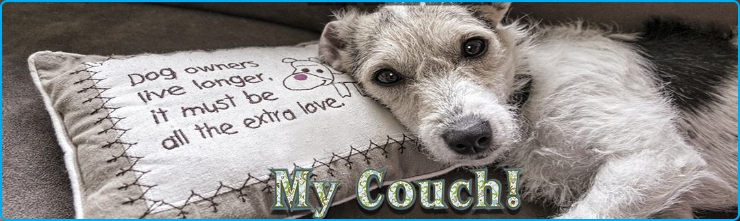 Cutetee Pet Salon Dog Grooming in Albury Wodonga Dog on Couch